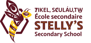 stellys secondary stingers logo